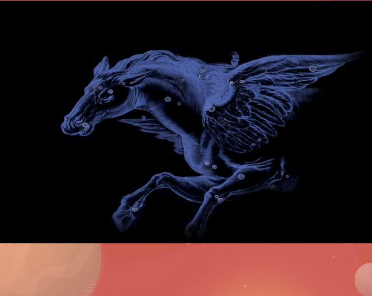 p11.png