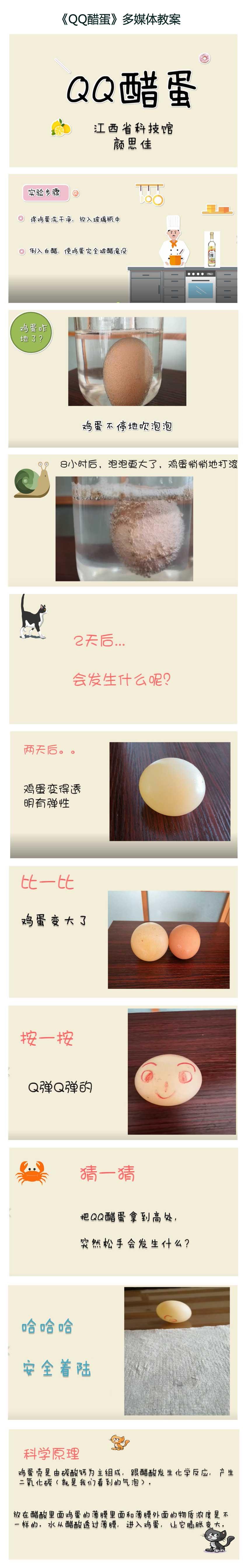 《QQ醋蛋》多媒体教案.jpg