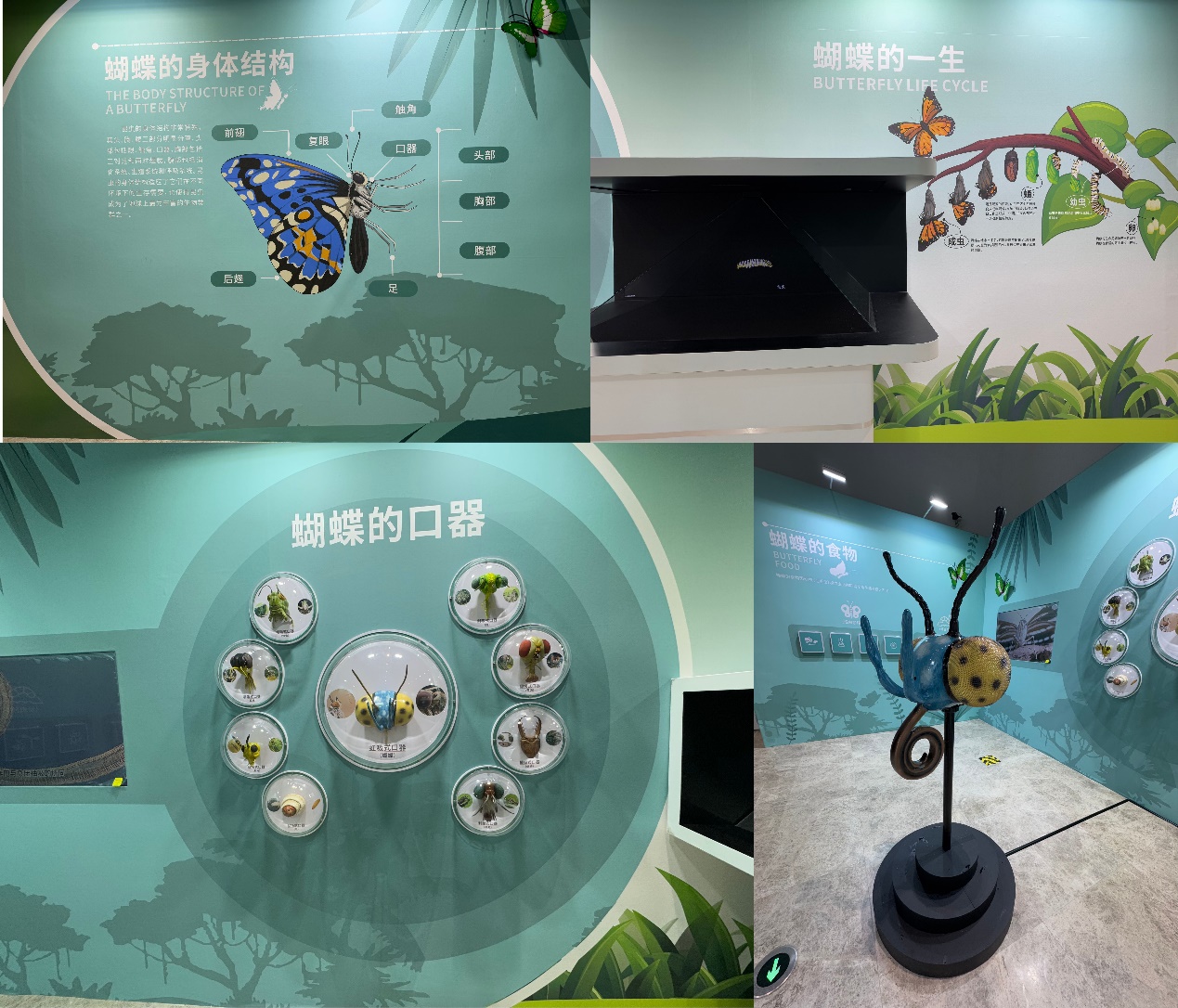 图片5.jpg
